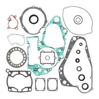 COMPLETE GASKET SET W/ OIL SEALS for Suzuki RMX250 1995 to 1999