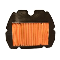 Whites Air Filter