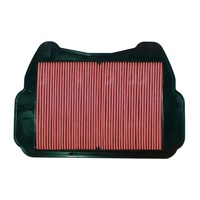 Whites Air Filter