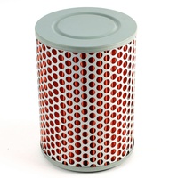 Whites Air Filter