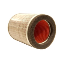Whites Air Filter