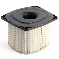 Whites Air Filter