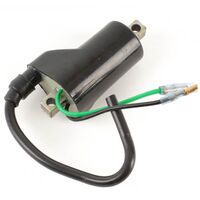 WHITES ELECTRICAL COIL-12V
