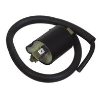 WHITES ELECTRICAL COIL-12V