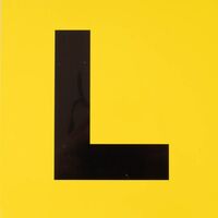 WHITES L - PLATE 1PC