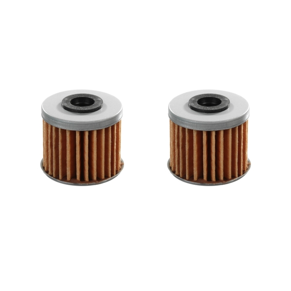 WHITES Oil Filter Twin Pack (HF117)