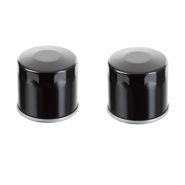 WHITES Oil Filter Twin Pack (HF138)