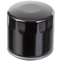 WHITES Oil Filter (HF153)