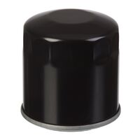 WHITES Oil Filter (HF163)
