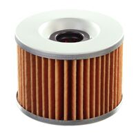 WHITES Oil Filter (HF401)