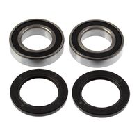 Rear Wheel Bearing Kit