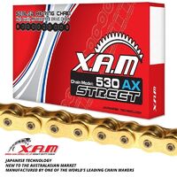 X-Ring Gold Chain 530 x 116 Links
