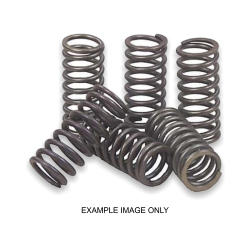 Newfren Clutch Springs kit for Suzuki TS125 1973 1974 1975 1976 1977