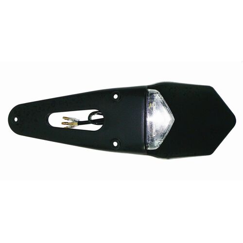 LED Clear Lens Taillight Extension with Number Plate Light