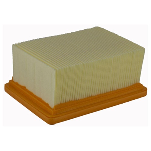 Champion Air Filter