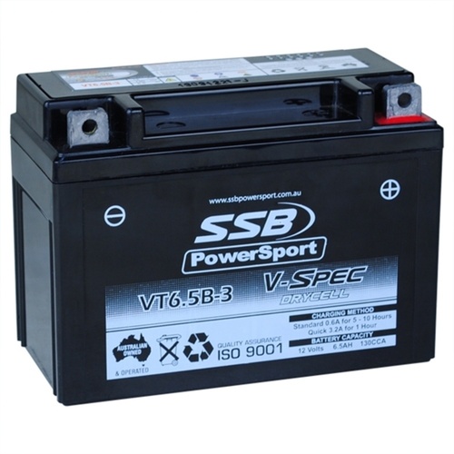 SSB 12V V-Spec Dry Cell AGM Battery 2.48 Kg