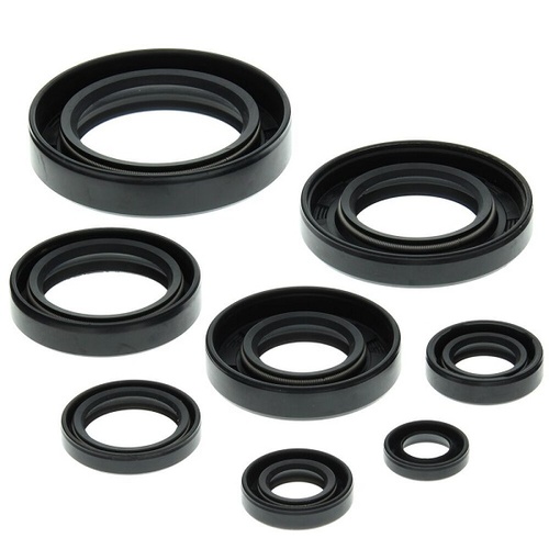 Engine Oil Seal Kit
