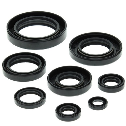 Engine Oil Seal Kit for Honda ATC250R 1985 1986 TRX250R 1986 To 1989