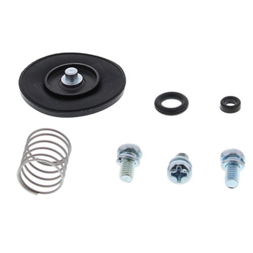 Accel. Pump Rebuild Kit*