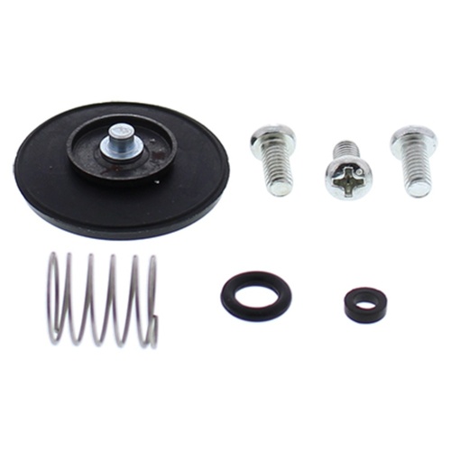 Accel. Pump Rebuild Kit*