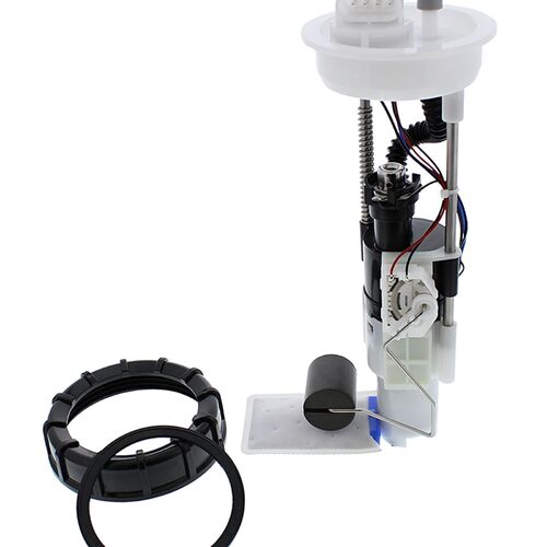 FUEL PUMP MODULE - PUMP, FILTER, HOUSING, NUT , GSKT ETC