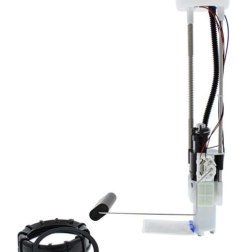FUEL PUMP MODULE - PUMP, FILTER, HOUSING, NUT , GSKT ETC