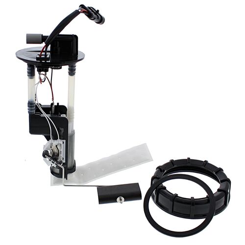 FUEL PUMP MODULE - PUMP, FILTER, HOUSING, NUT , GSKT ETC