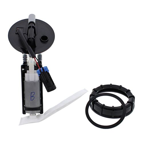 FUEL PUMP MODULE - PUMP, FILTER, HOUSING, NUT , GSKT ETC