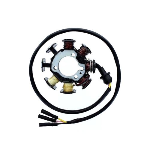 Stator Coil