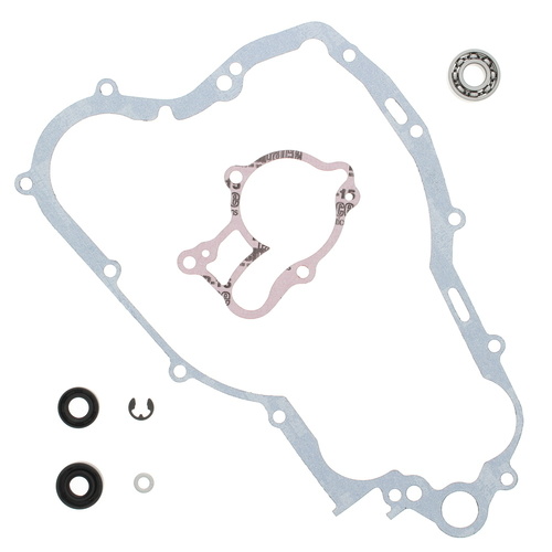 Vertex Water Pump Rebuild Kit  