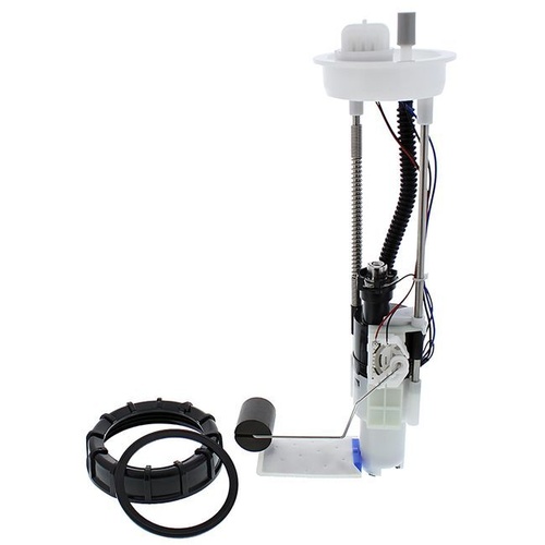 FUEL PUMP MODULE - PUMP, FILTER, HOUSING, NUT, GSKT ETC
