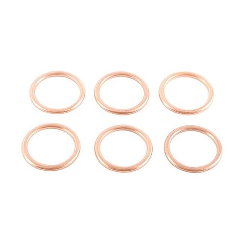 Exhaust Gasket Kit 823013