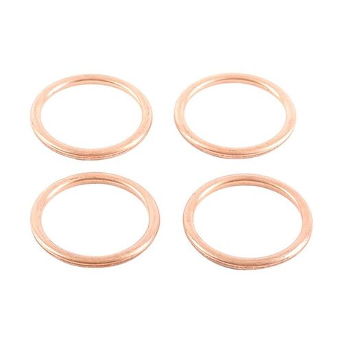 Exhaust Gasket Kit 823015