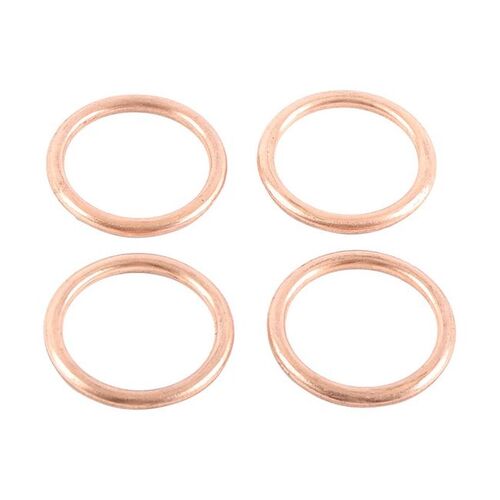 Exhaust Gasket Kit 823017