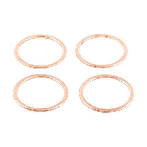 Exhaust Gasket Kit 823022