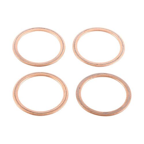 Exhaust Gasket Kit 823025
