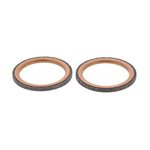 Exhaust Gasket Kit 823028