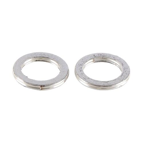Exhaust Gasket Kit 823034