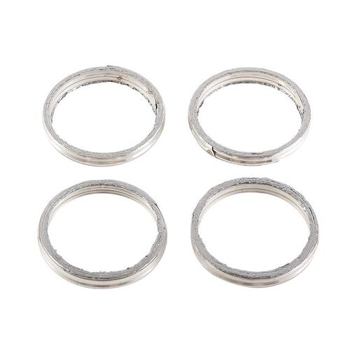 Exhaust Gasket Kit 823036