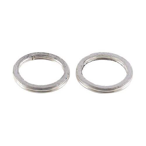 Exhaust Gasket Kit 823038
