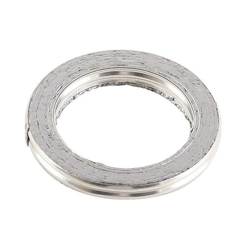 Exhaust Gasket Kit 823049