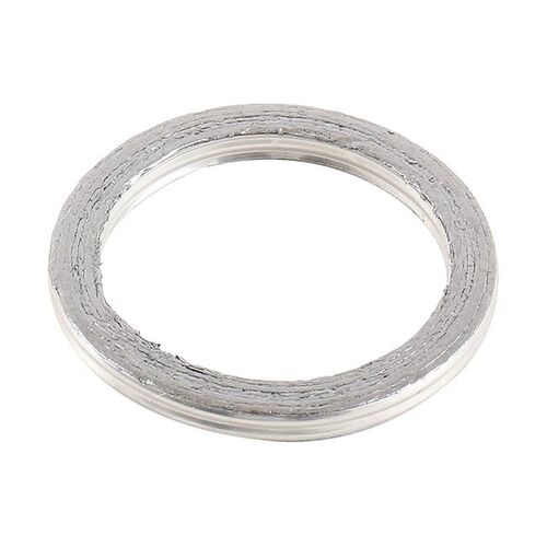 Exhaust Gasket Kit 823060