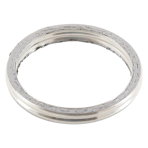 Exhaust Gasket Kit 823070