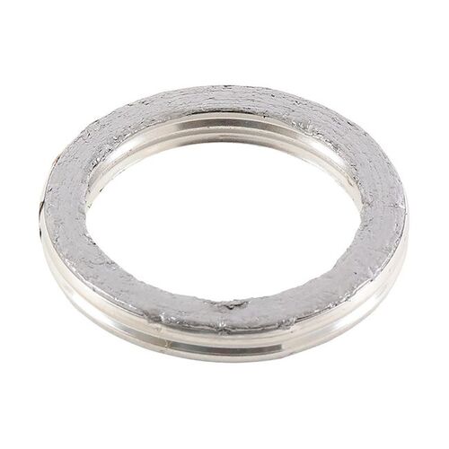 Exhaust Gasket Kit 823096