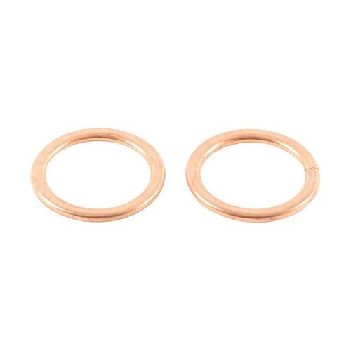 Exhaust Gasket Kit 823134 for Kawasaki NINJA 300 ABS EX300 2014