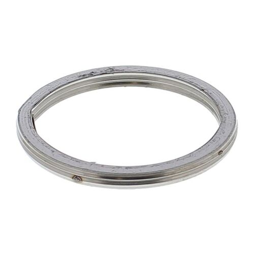 Exhaust Gasket Kit 823173