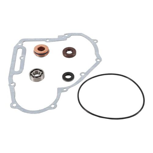 VERTEX WATER PUMP REBUILD KIT POLARIS