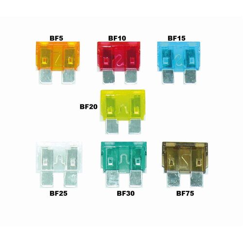 One 10 Amp Blade Fuse