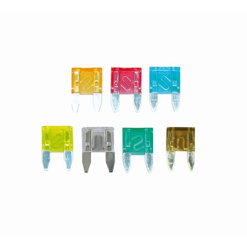 One 30 Amp Mini Blade Fuse