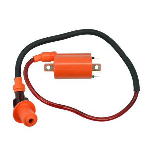 Ignition Coil 2 Wire W Lead & Plug Cap 12V